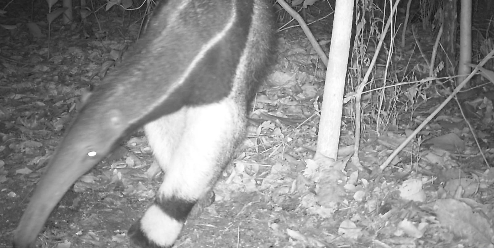 WhatsApp Image 2024-04-25 at 13.55.23 (2).jpeg