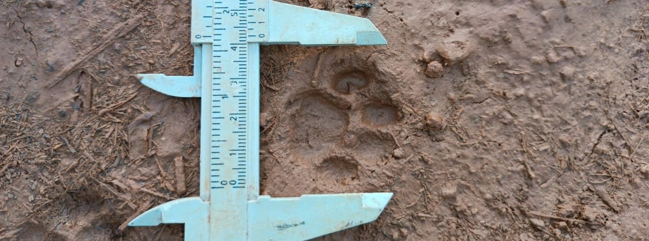 WhatsApp Image 2024-04-25 at 13.55.22 (1).jpeg