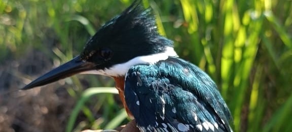 WhatsApp Image 2024-04-25 at 13.55.23 (1).jpeg