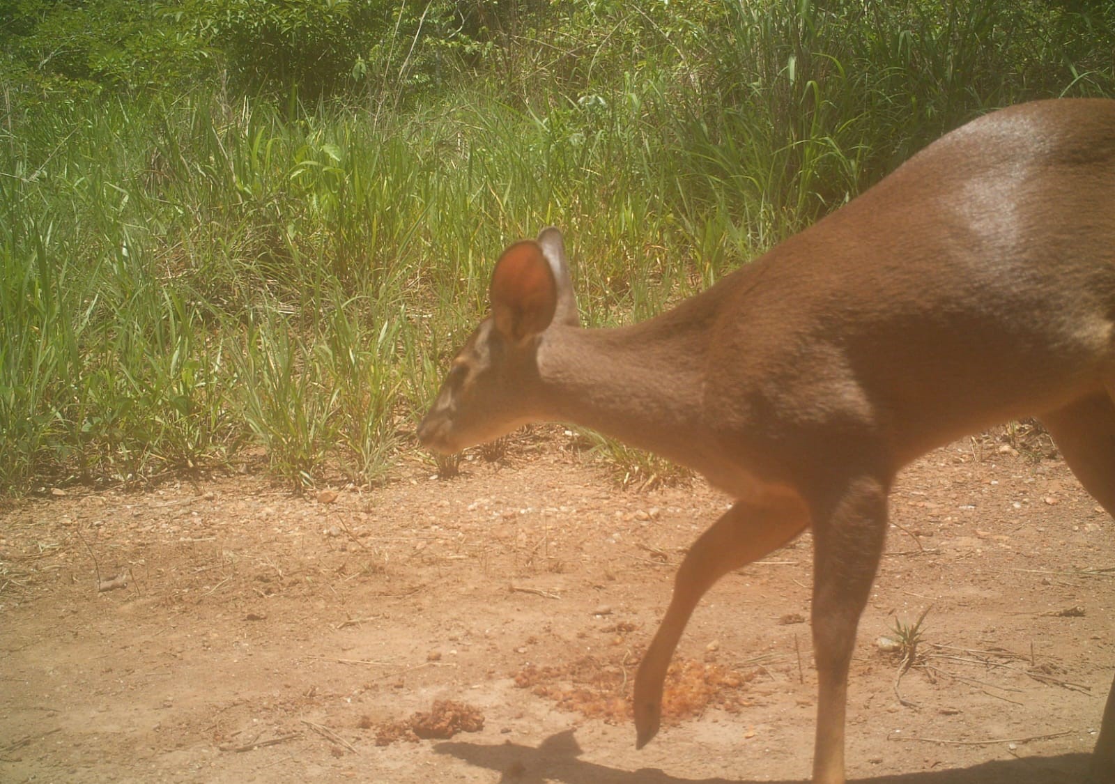 WhatsApp Image 2024-04-25 at 13.55.23 (3).jpeg