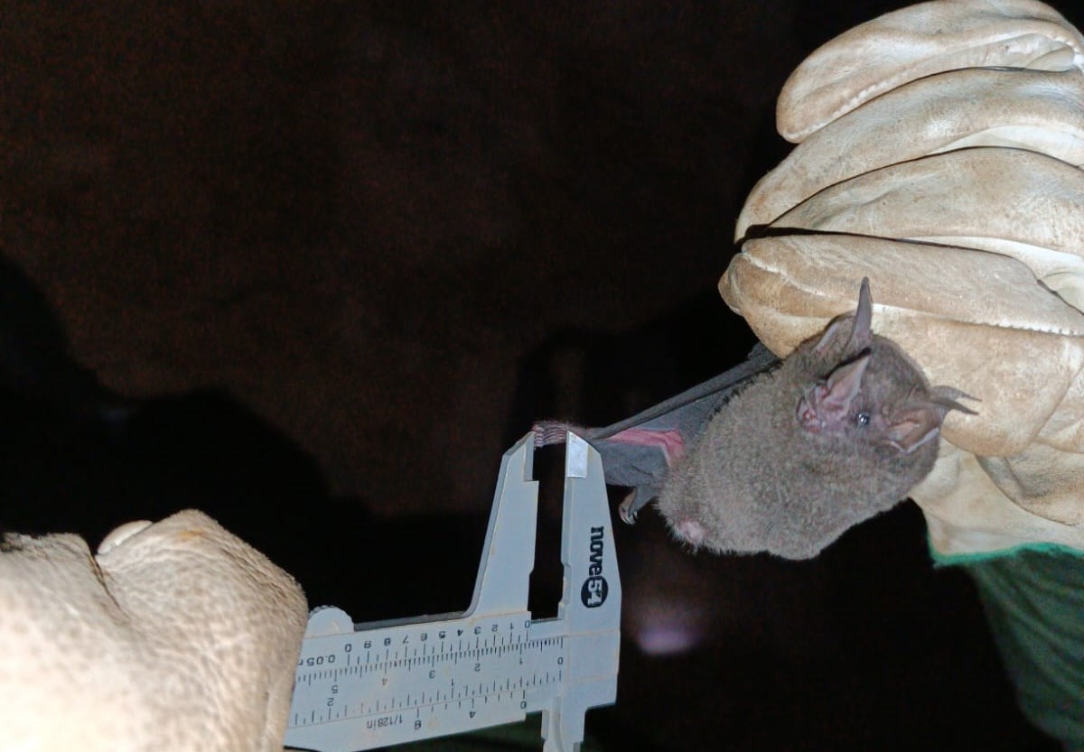 WhatsApp Image 2024-04-25 at 13.55.21 (1).jpeg