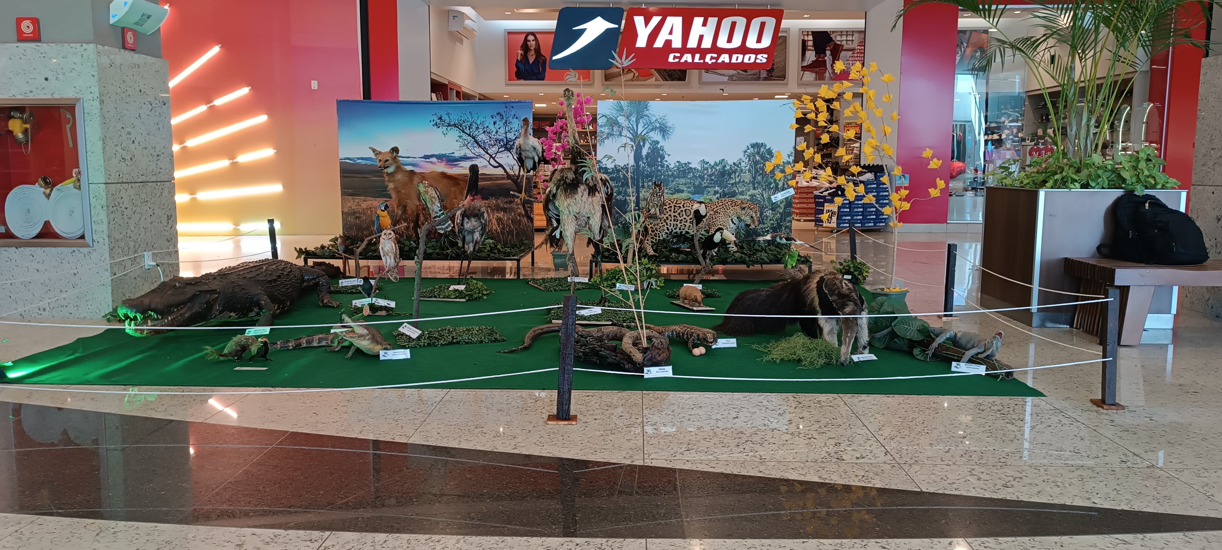 WhatsApp Image 2024-05-20 at 13.58.17.jpeg