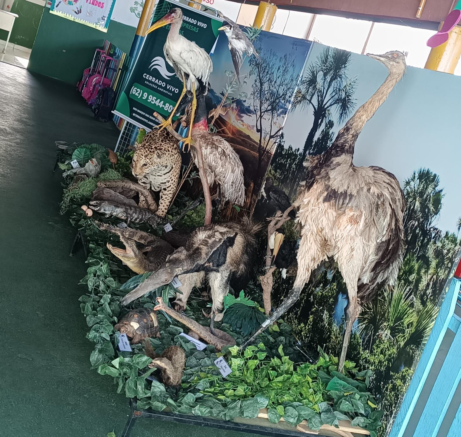 WhatsApp Image 2024-04-25 at 13.52.19 (1).jpeg